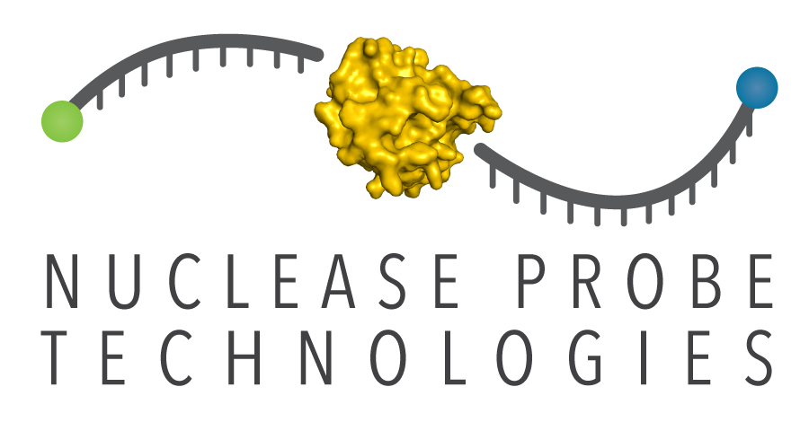 Nuclease Probe Technologies