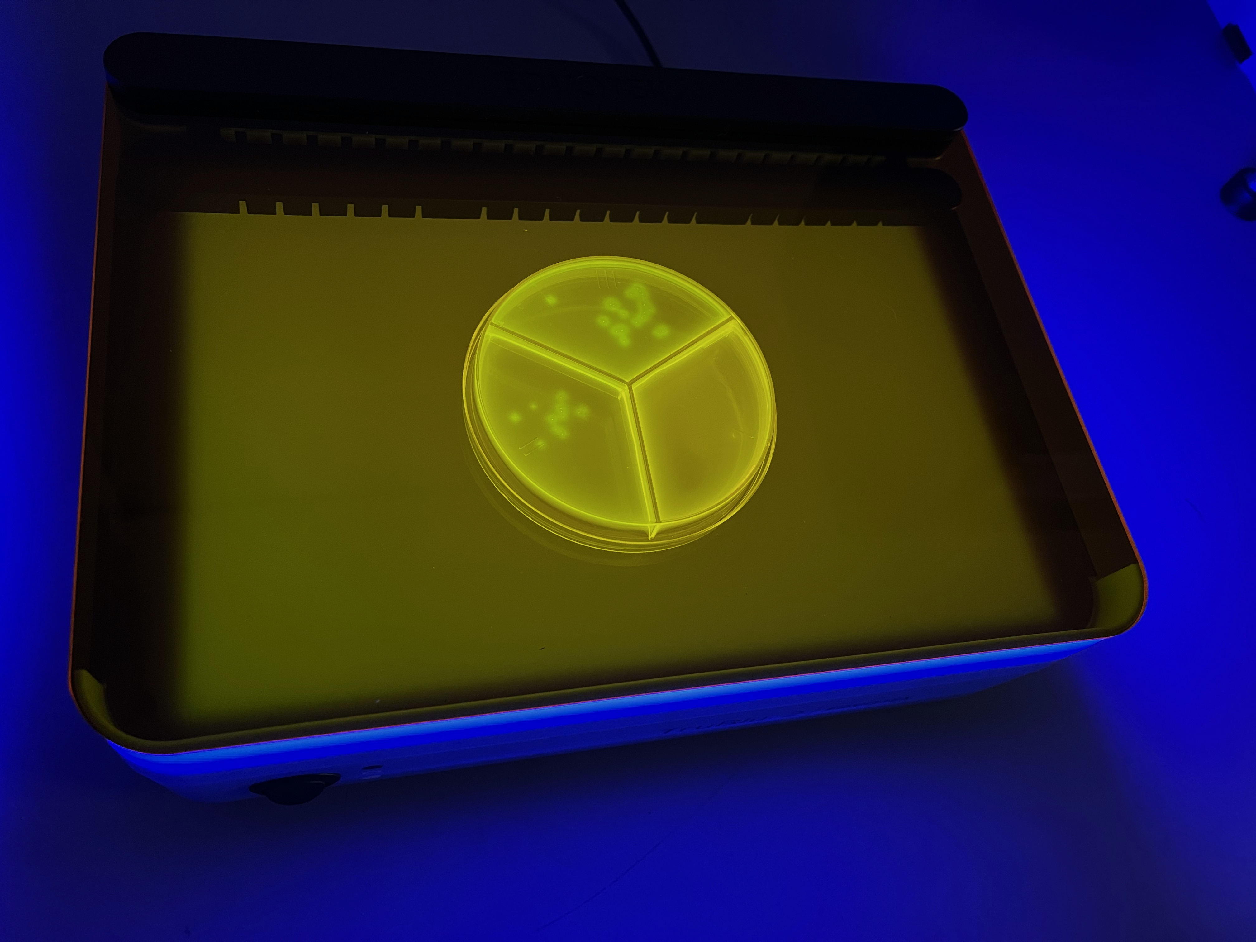 blue light box with tri plate